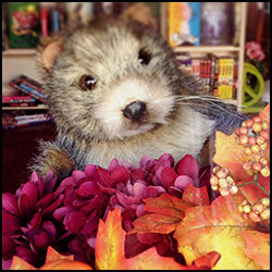 Colby, the Store mascot, with flowers